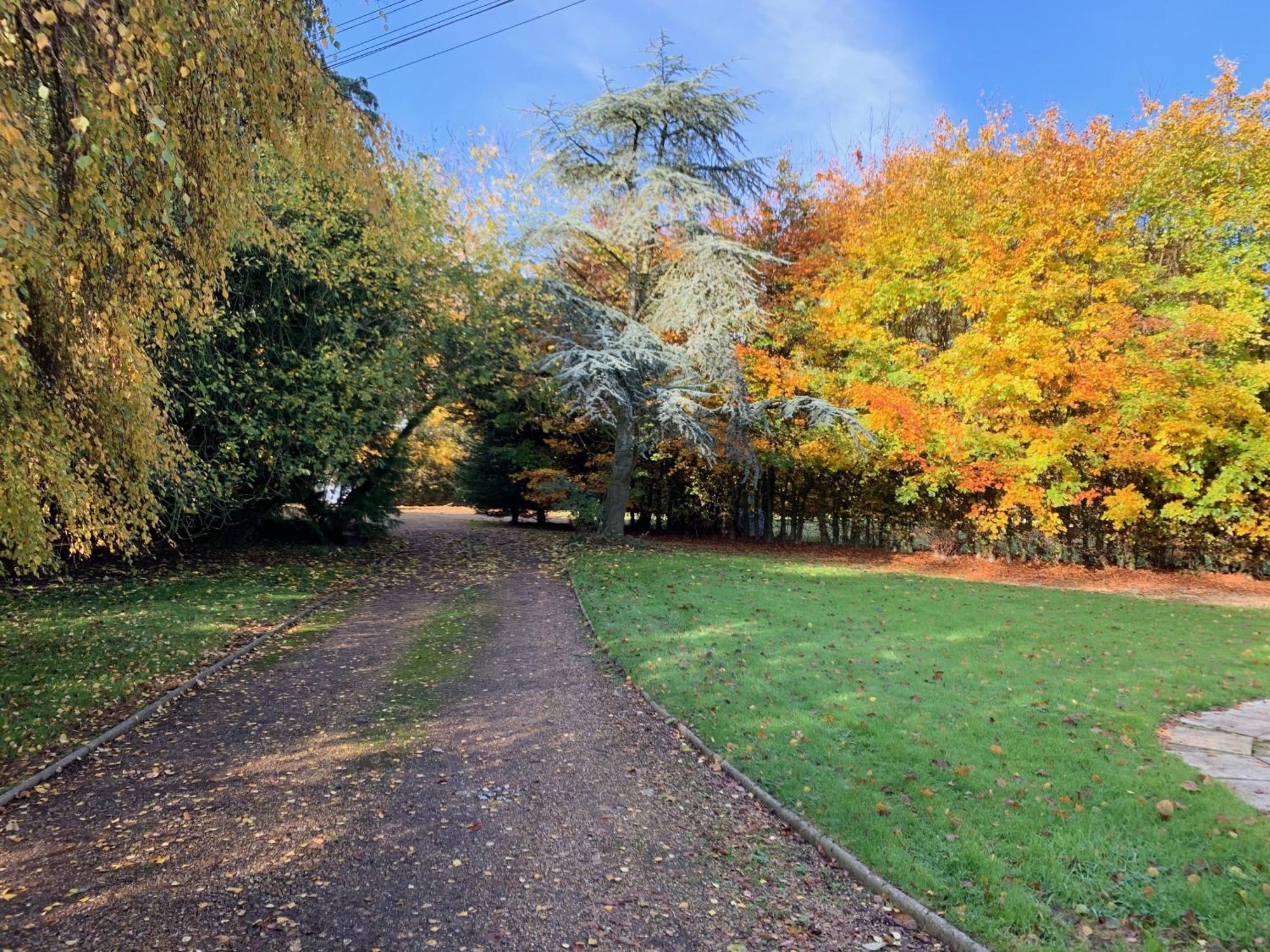 Aldercarr Hall Great Ellingham Екстериор снимка